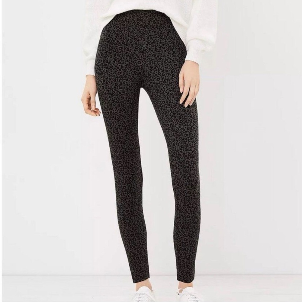 NWT Loft Animal Print Legging Size XL